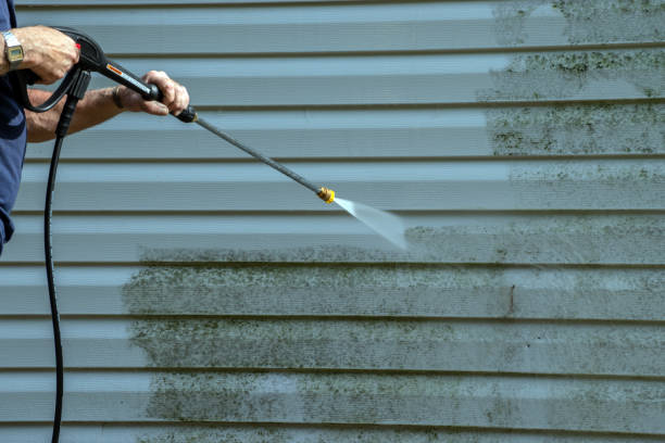 Best Roof Power Washing Services  in Alachua, FL