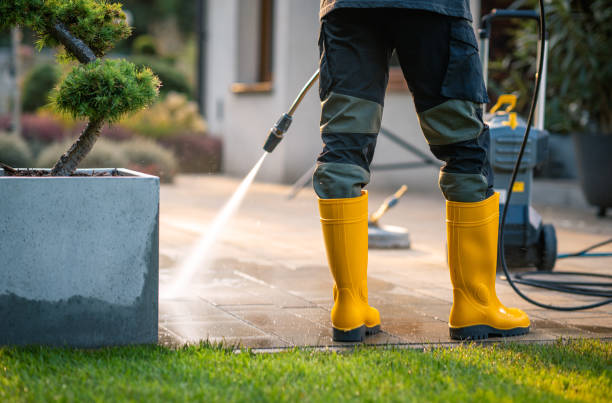 Best Pressure Washing Near Me  in Alachua, FL